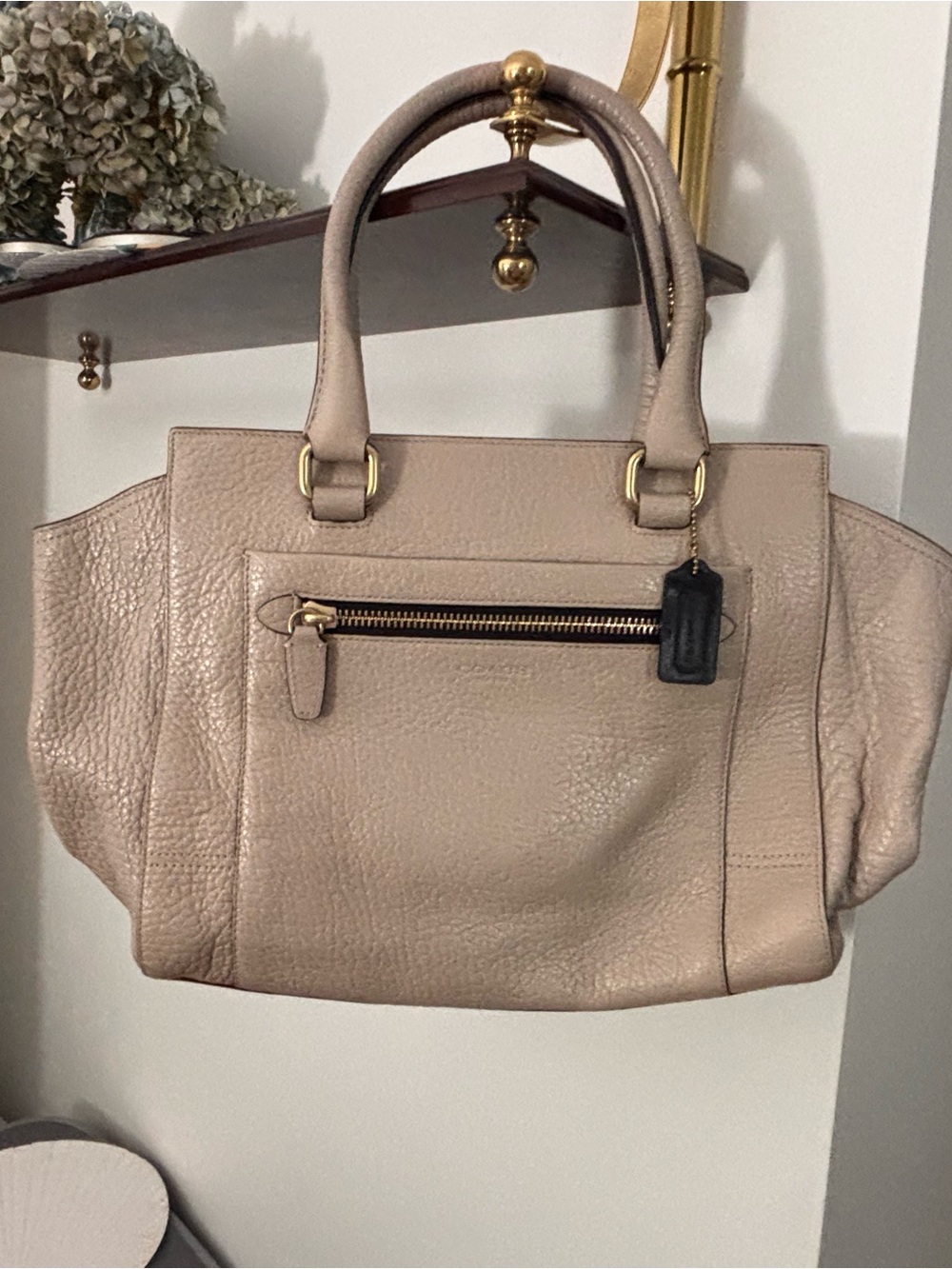 Classic Pebbled Leather Tote Bag in Taupe Coach
